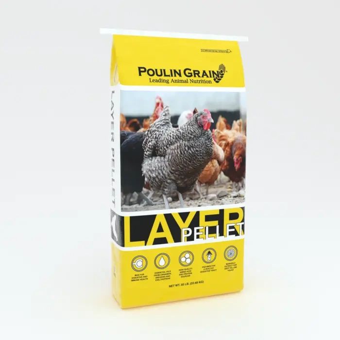 Layer Pellet.webp