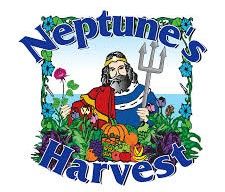 NEPTUNE.jpg