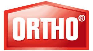ORTHO.jpg