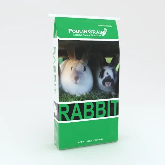 Rabbit.webp