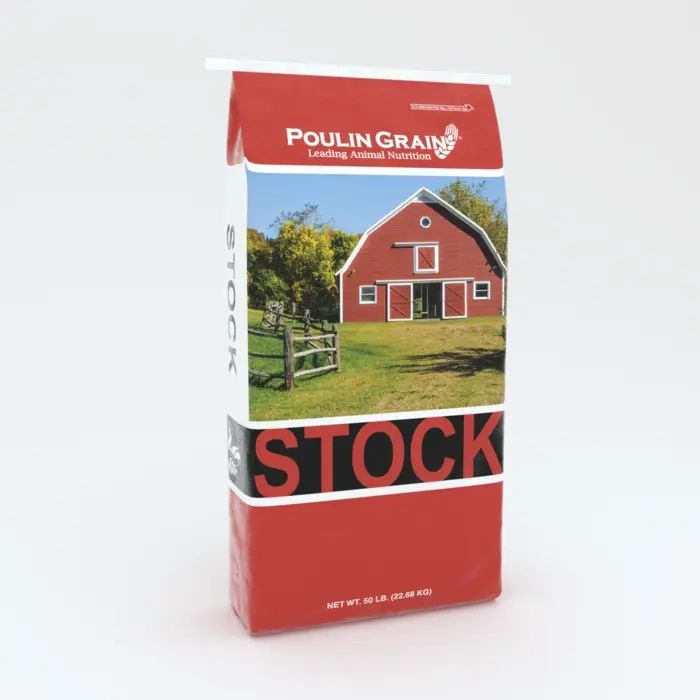 Stock.webp