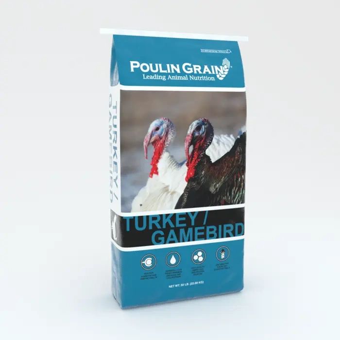 Turkey Gamebird.webp