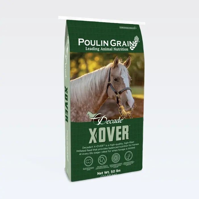 X-Over BG.webp