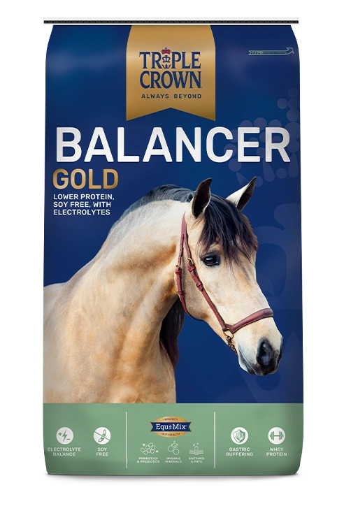 triple-crown-balancer-gold-horse-feed.png