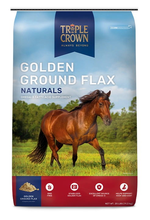 triple-crown-naturals-golden-ground-flax-horse.png