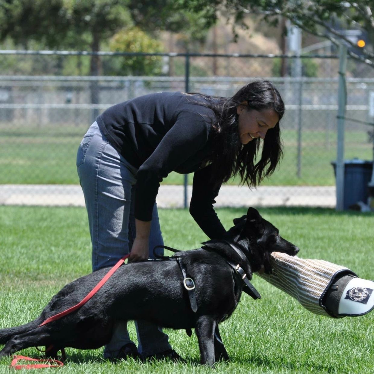 German Shepherd, Schutzhund