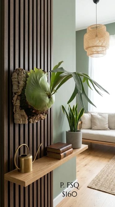 Stylish indoor plants and modern decor in a cozy living room corner.