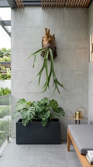 Modern indoor garden corner with elegant plants and minimalist decor.