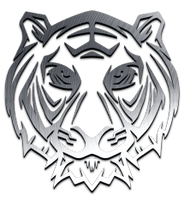 thefightingfather.com