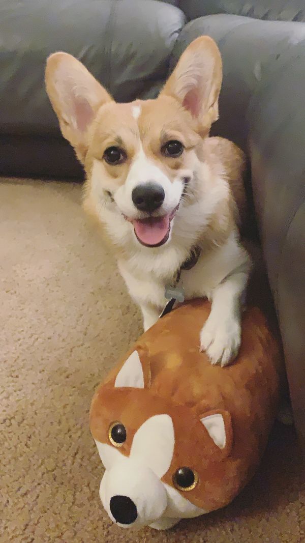 Ginger and her mini me