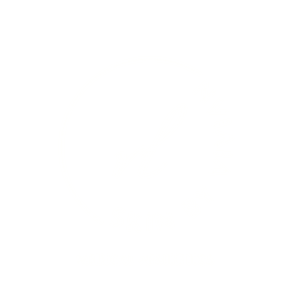 Skin by vivian