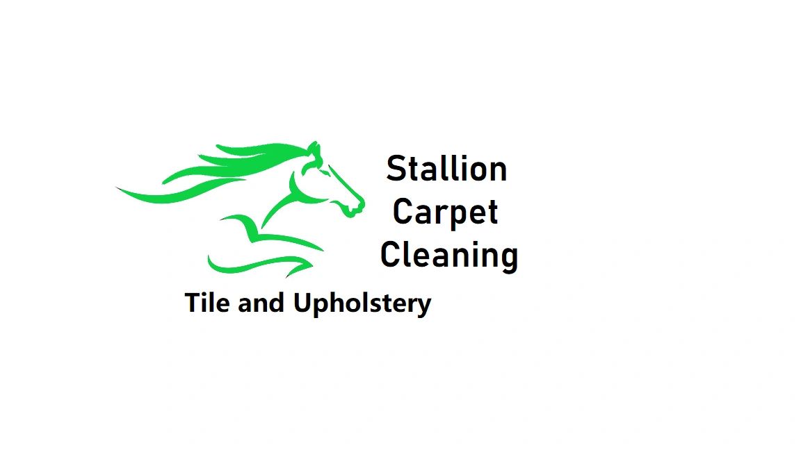 Carpet Cleaning Carpet Cleaning Service