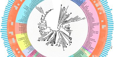 Metagenomics