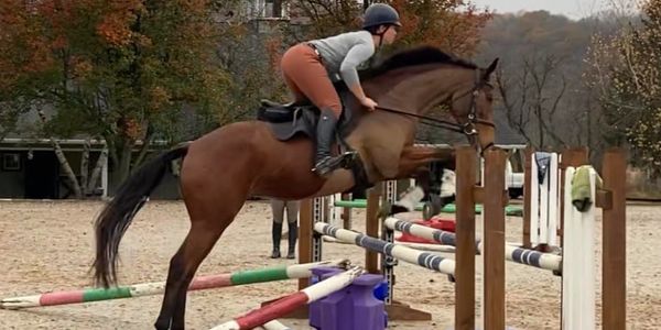 Rider jumping a horse over an obstacle in an outdoor arena.