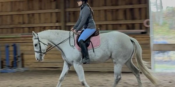 Person riding a white horse indoors.