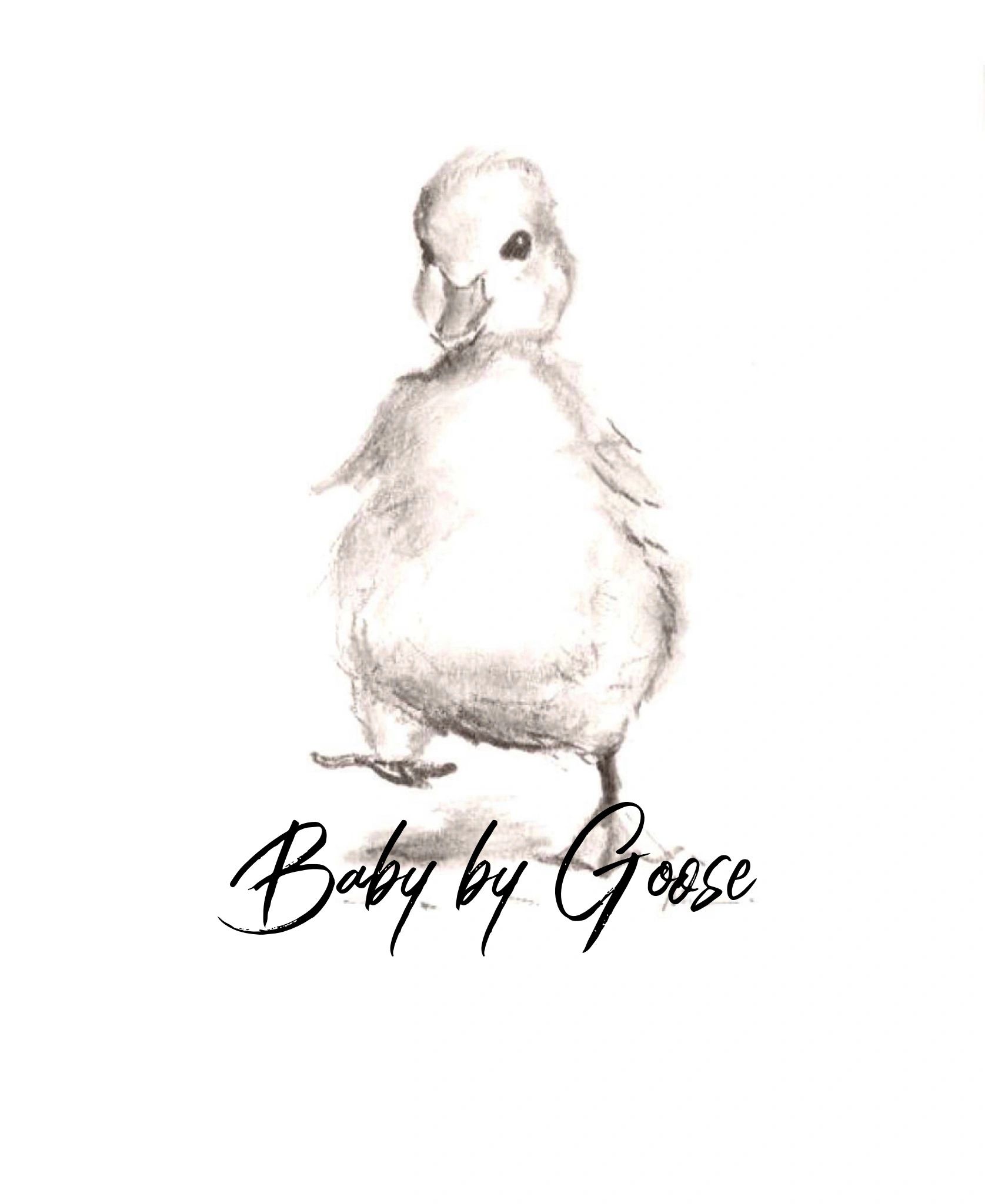 BabybyGoose - Children Clothes, Baby Clothes, Baby Stores