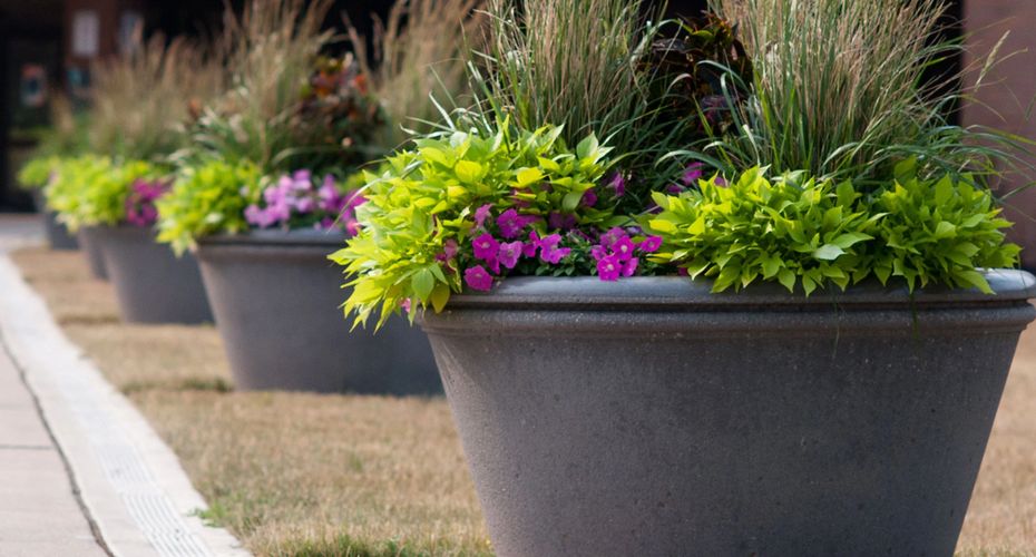 Precast Concrete Planters