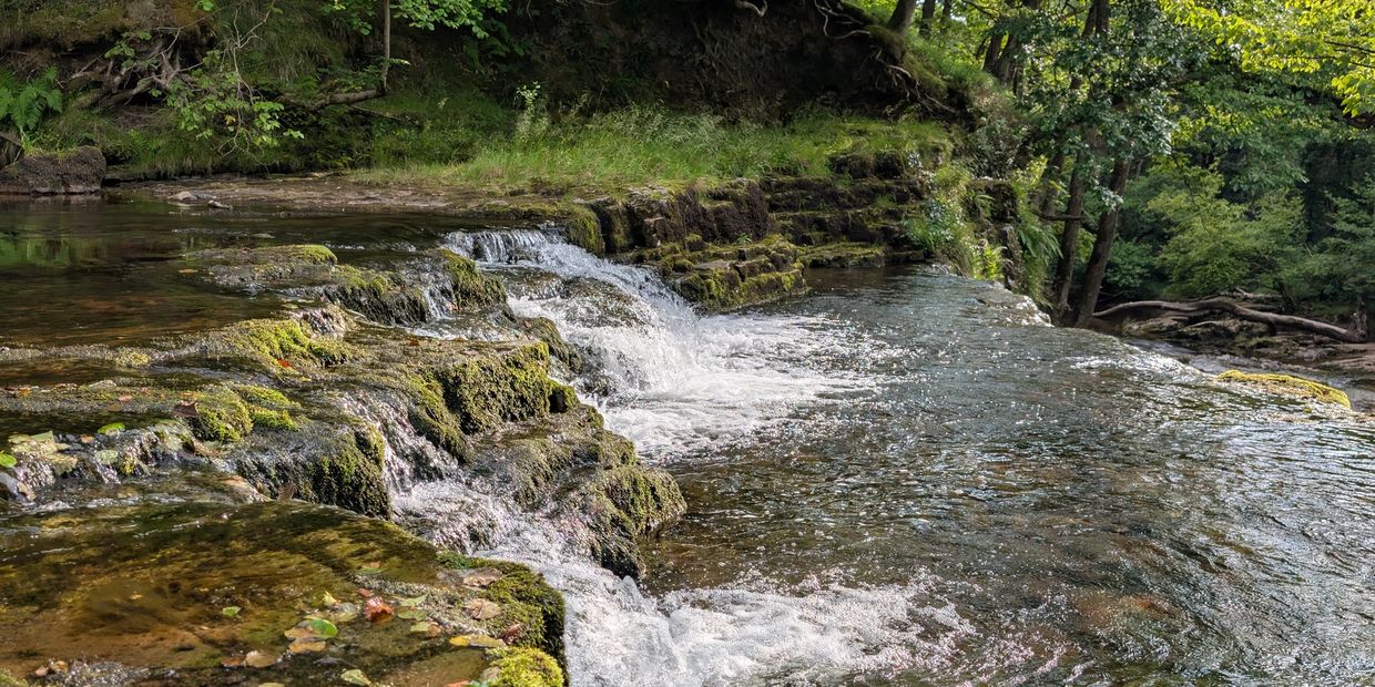 A serene moss-covered waterfall flowing gently through a lush green forest.