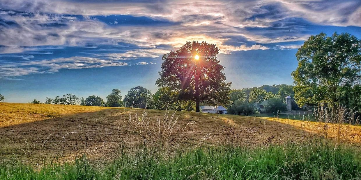 sunset field