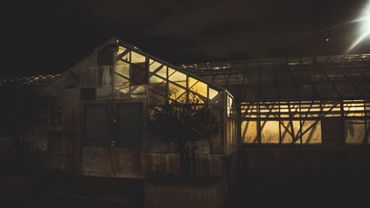 Dimly lit greenhouse glowing warmly against the night sky.
