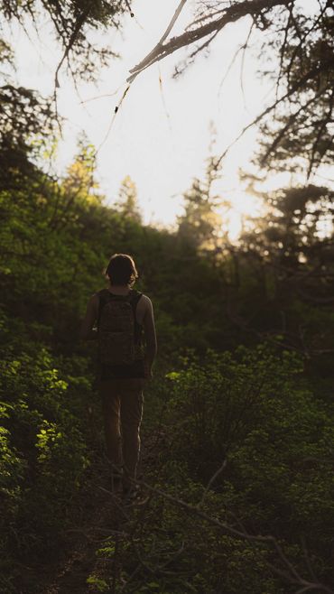 A person hiking on a forest trail during sunset.