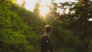 A person stands in a sunlit forest, looking towards the bright sky.