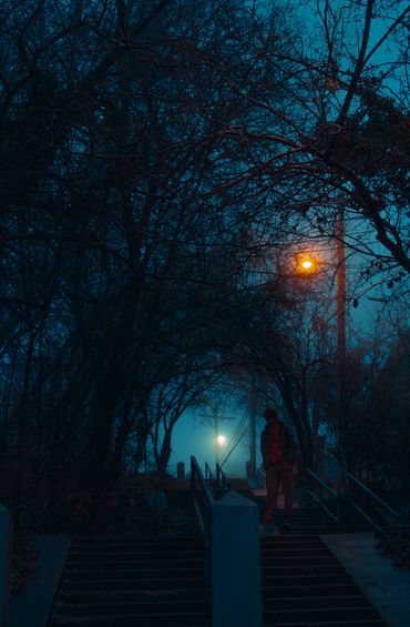 A person stands on dark stairs beneath leafless trees and glowing street lamps at night.