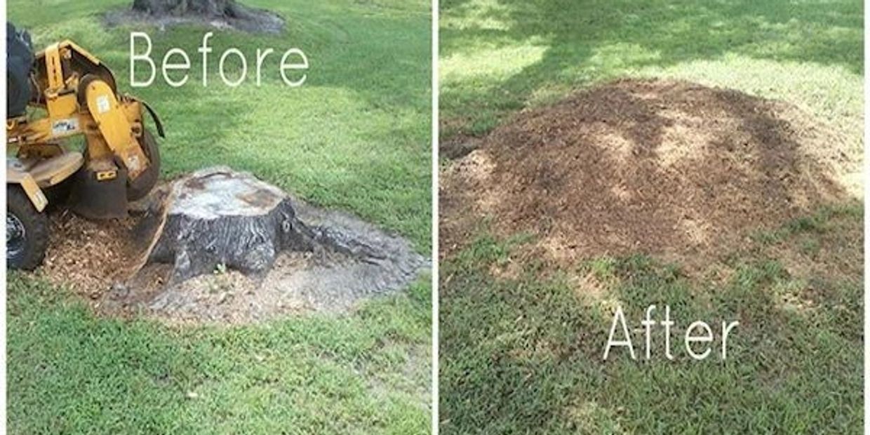 Let us solve all your stump removal projects. 