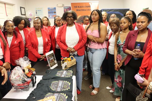 Bay City Alumnae Chapter of Delta Sigma Theta Sorority 
June 13, 2026