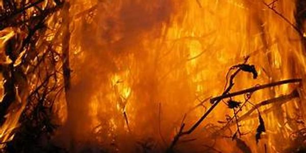 Intense wildfire engulfing a forest.