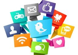 social media, sea turtle marketing, digital marketing