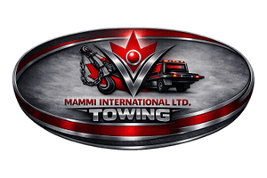 Mammi International Ltd.