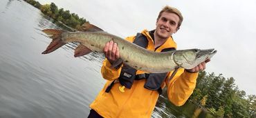 Big lower Buckhorn Musky. 