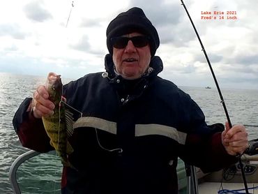 Live perch on a live minnow.