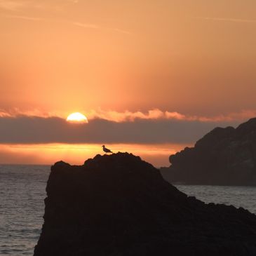 Sunset behind rocky cliff with bird silhouette.