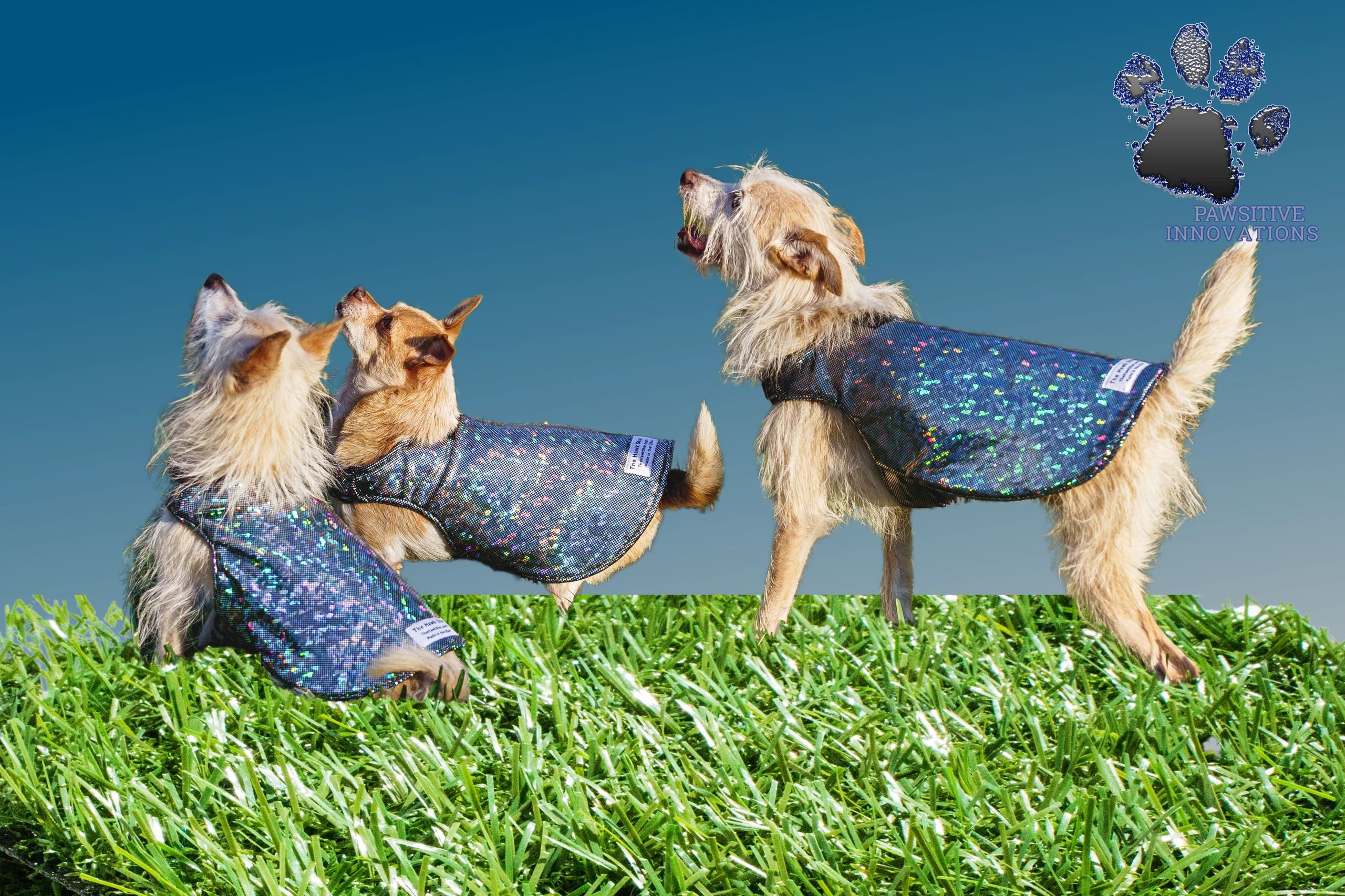 Pet Protection Vest, Dog, Birds - Pawsitive Innovations