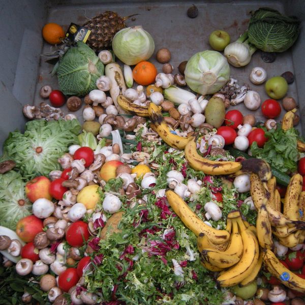 We Care for the environment and believe in less wastage. Food waste in Luxemberg, Source- Wikipedia