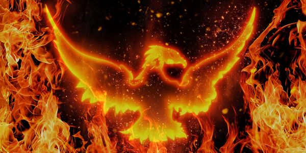 phoenix, trauma recovery, and empowerment through coaching and RTT at Freedom Transformed