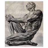  Myofascialogie 