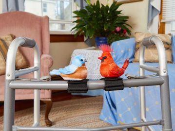 Robotic Birds that Sing for companionship and entertainment for people with dementia