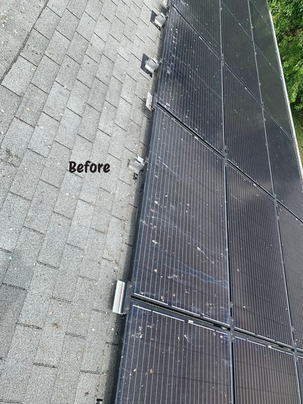 🚨 Pigeon Trouble Under Your Solar Panels? 🚨