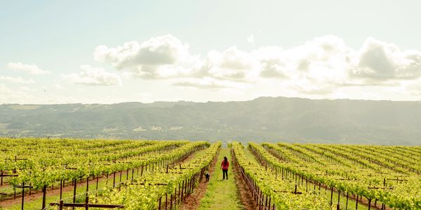 Brenae and Violet in Vineyard