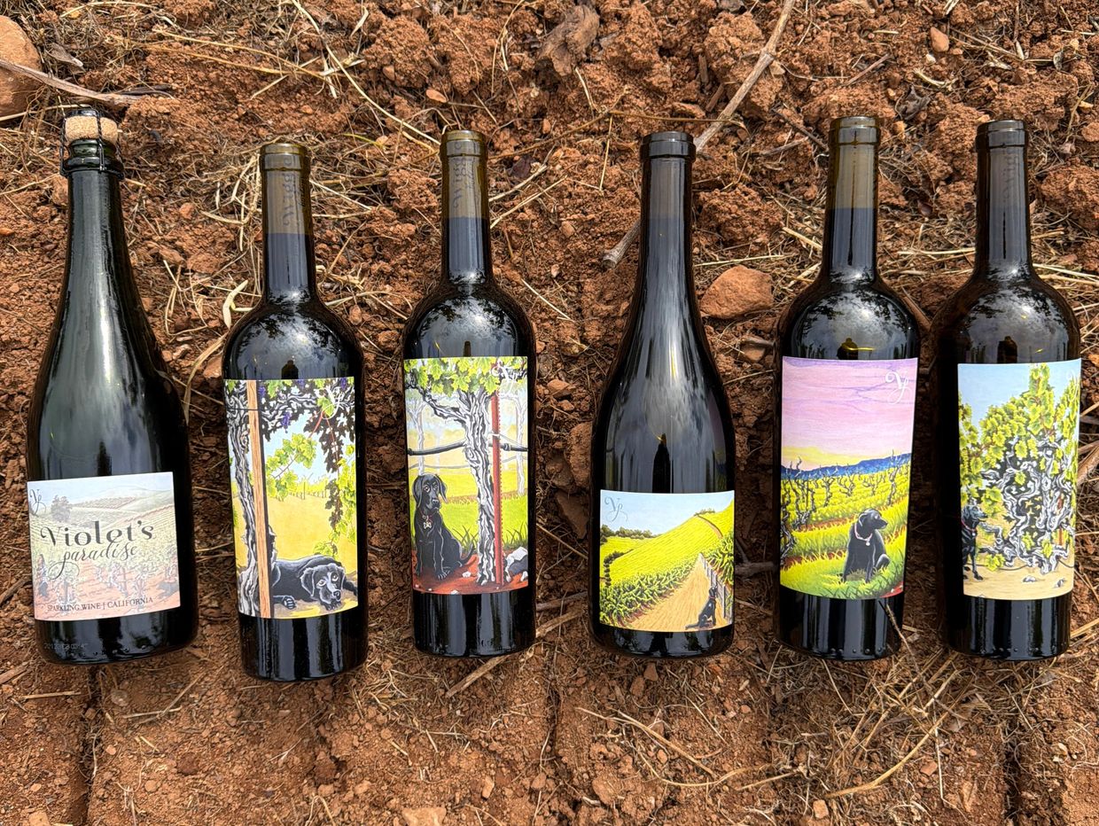 Six wine bottles with illustrated labels featuring dogs and vineyard scenes, placed on soil.