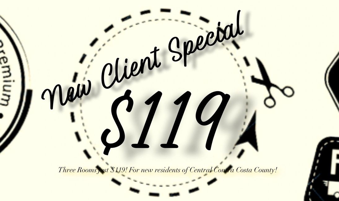 Go Green Light Carpet and Upholstery Cleaning