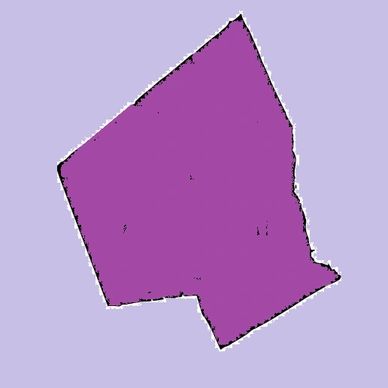 Purple polygon shape on a light purple background.