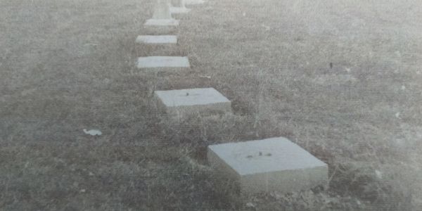 A row of concrete blocks in an outdoor grassy area.