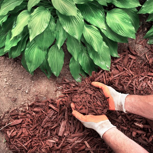 Mulch installation in Beavercreek and Kettering, Oh.  Bulk mulch and mulch delivery available. 