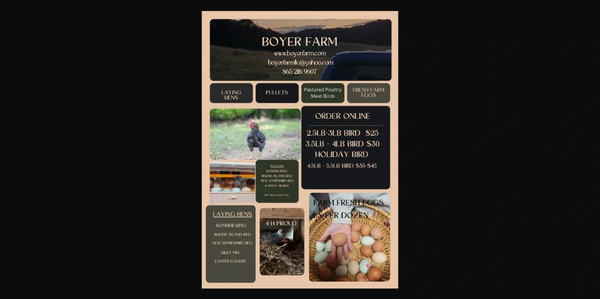 Boyer Farm offers laying hens, pullets, pastured poultry, and fresh farm eggs with online ordering.