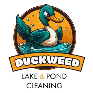 Lake and Pond Cleaning
