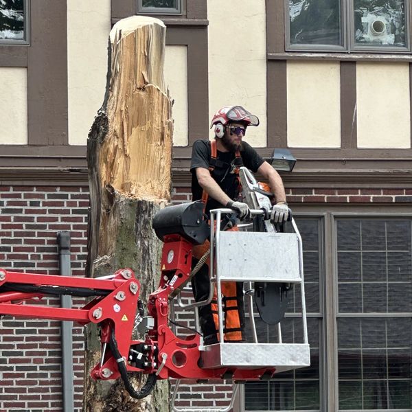 FIREWOOD Tree Service Champaign IL
Arborist Champaign IL
Tree Removal Champaign IL